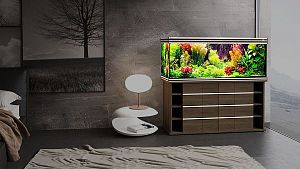 Пресноводный аквариум с тумбой STELLEX AQUA 450, 450 л, 151х56×142 см