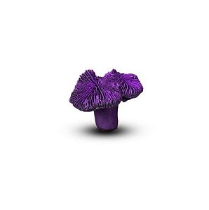 Коралл Лилия Фиолетовый 7х7×5 см