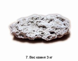 КАМЕНЬ ИЗВЕСТНЯК МОРСКОЙ, ОТ 1 ДО 10 КГ, ЦЕНА ЗА 1 КГ