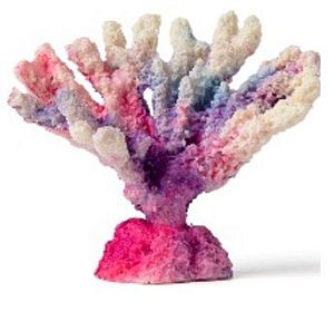 Кс-320&nbsp;Коралл акабария (фиолетовый), 9*5*7&nbsp;см