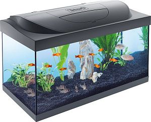Аквариум Tetra Starter Line LED, 54 л