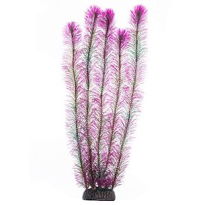Растение Laguna «Перистолистник» фиолетовый, 500 мм
