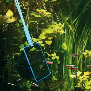 Сачок JBL Fangnetz PREMIUM schwarz/grob чёрный крупноячеистый, 25 см