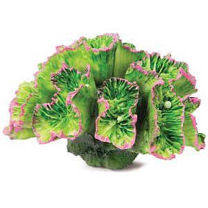 Коралл Laguna искусственный «Кауластрея», зеленая, 70х50×45 мм