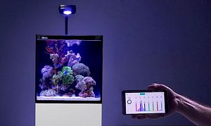 Аквариум с тумбой Red Sea MAX Nano морской, белый, 75 л
