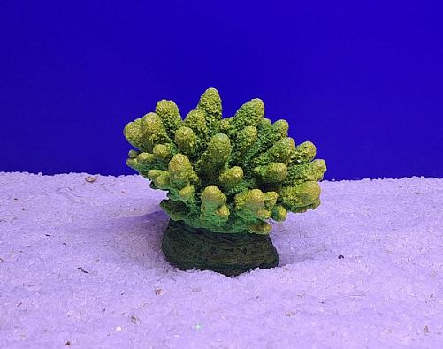 Кр-117 Коралл, Зелено-Желтый 13х10х10 см