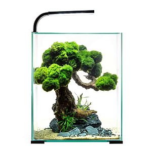 Aквариум Aquael SHRIMP SET SMART LED DAY&NIGHT 10 черный, 10 л