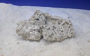 Камень сухой рифовый, плоский, 1&nbsp;кг