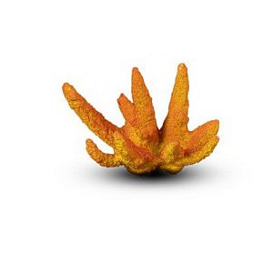Коралл Фигнер Малый Оранжевый 10х10×8 см
