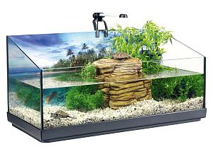 Tetra Repto AquaSet комплект акватеррариума, 80 л