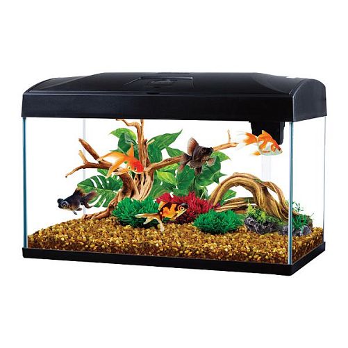 Аквариум AA-Aquariums Basic 54 л, черный, 585х305х385 мм