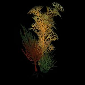 Композиция из светящихся растений Laguna, розовая, 120 мм