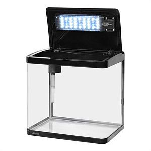 Аквариум Atman XR-380&nbsp;с&nbsp;LED светильником и&nbsp;фильтром, 35&nbsp;л, 38х25&times;37&nbsp;см, черный