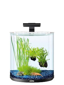 Tetra AquaArt Explorer Line Crayfish аквариумный комплект, «Полумесяц», 30 л