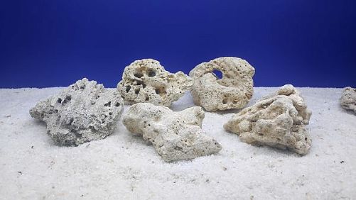 Камень сухой рифовый M, 10х15 см, 400-800 г