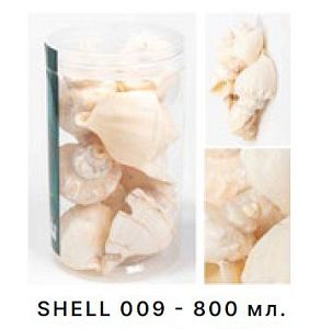 Набор морских раковин Barbus в банке 800 мл/300−400 г
