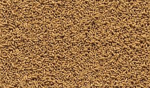 TetraPond Sticks основной корм для всех видов прудовых рыб, палочки 40&nbsp;л