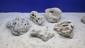 Камень сухой рифовый M, 10&times;15&nbsp;см, 400&minus;800&nbsp;г