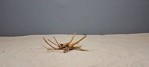 Коряга Сакура мини, до&nbsp;10&nbsp;см