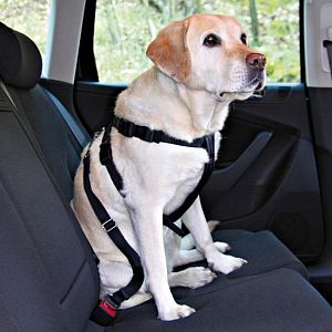 Автомобильный ремень безопасности TRIXIE для собак, 80−100 см