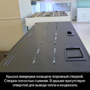 Аквариум START-UP 85&nbsp;дуб сонома, светильник LED 11&nbsp;Вт, комплект оборудования