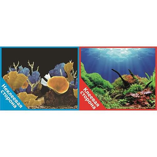 Фон Prime двухсторонний с одной самоклеящейся стороной Морские кораллы/Подводный мир, 50x100 см