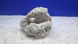 Камень сухой рифовый M, 10×15 см, 400−800 г