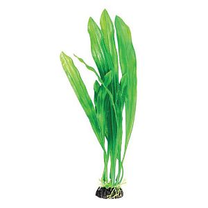 Растение Laguna «Эхинодорус» зеленый, 200 мм