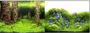 Фон NATURE двухсторонний Затопленный лес/Камни с растениями, 50 см