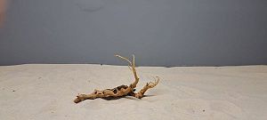 Коряга Сакура мини, до&nbsp;10&nbsp;см