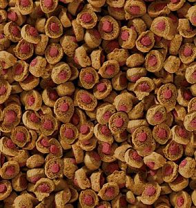 Корм Sera REPTIL PROFESSIONAL CARNIVOR для плотоядных рептилий, 100&nbsp;мл