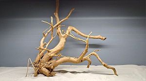 Коряга Сакура М, 30&minus;40&nbsp;см