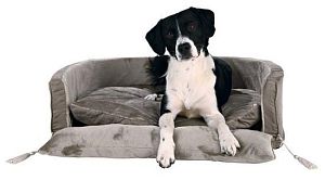 Лежак TRIXIE King of Dogs, 90×70 см, серо-коричневый