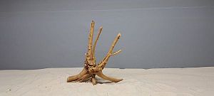 Коряга Сакура S, 15&minus;25&nbsp;см