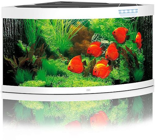 Аквариум JUWEL TRIGON 350 LED угловой с оборудованием, 350л, белый, 123х87х65см
