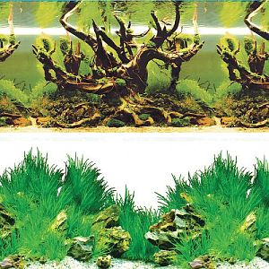 Фон Laguna «Таинственный лес/Новое утро», 400×800 мм