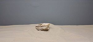 Декорация природная Prime Пагода камень S, размер 7−15 см, вес от 300 до 800 г