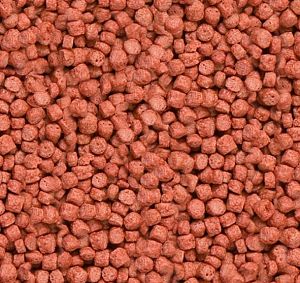 Корм основной Sera KOI ROYAL ST&nbsp;mini для кои до&nbsp;12&nbsp;см, гранулы 3,8&nbsp;л