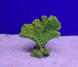 Кр-1217 Акропора, Зелено-Желтый 9х5×10 см