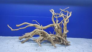 Коряга Сакура XL, 50−70 см