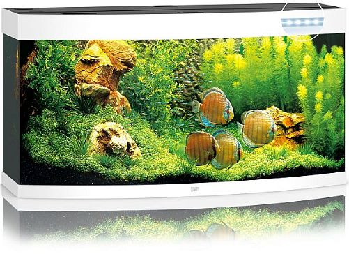 Аквариум JUWEL VISION 260 LED панорамный с оборудованием, 260л, белый, 121х46х64см