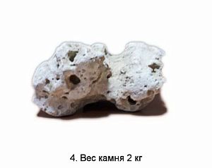 КАМЕНЬ ИЗВЕСТНЯК МОРСКОЙ, ОТ 1 ДО 10 КГ, ЦЕНА ЗА 1 КГ