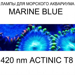 Лампа флуоресцентная Arcadia Т8 Marine Blue 420 Actinic 15 Вт, 450 мм