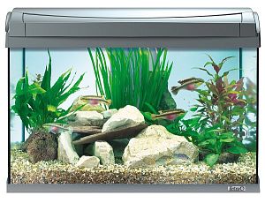 Tetra AquaArt аквариумный комплект, 60 л