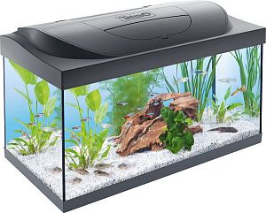 Аквариум Tetra Starter Line LED, 54 л