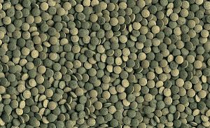 Корм Tetra PlecoTablets для травоядных сомов, 30 мл, 58 таблеток