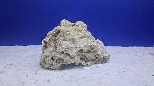 Камень сухой рифовый L, 15&times;20&nbsp;см, 800&minus;1200&nbsp;г