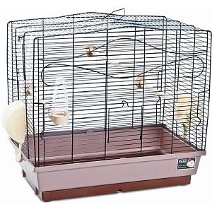 Pet Inn Клетка ORCHIDEA для птиц, 2 кормушки, поилка, 2 жердочки, 59х34×46,5 см