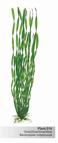 Пластиковое растение Barbus Валиснерия спиральная 10 см