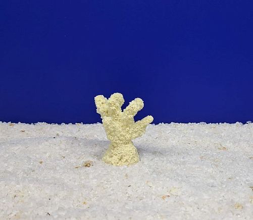 Кр-600 Коралл Рога Белый, 5.5х3.5х5 см
